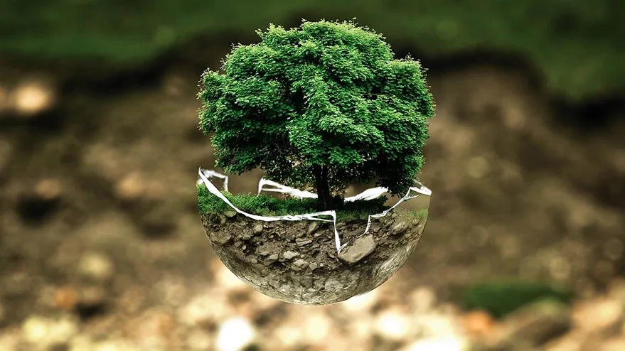 Image représentant un arbre dans une bulle d'eau : symbole du partenariat avec Recy'go